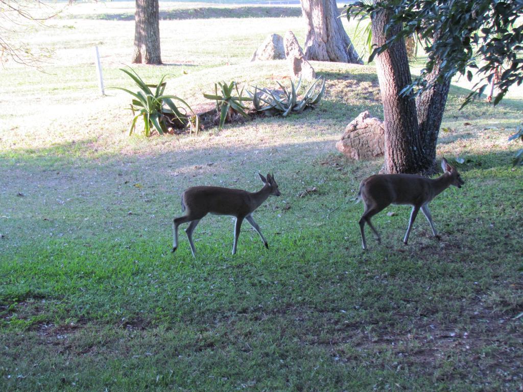 Matumi Golf Lodge Mbombela Bagian luar foto